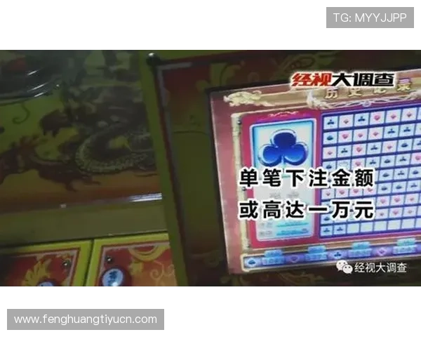 极速百家乐技巧攻略,专业玩家分享提升游戏速度与赢率的实用方法与实战经验